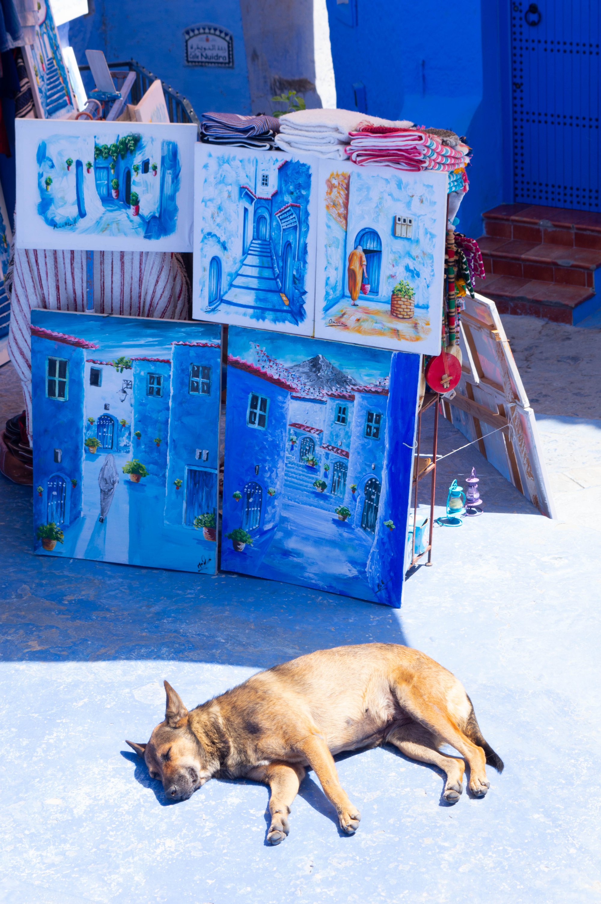 💙 Chefchaouen — Morocco’s Blue City